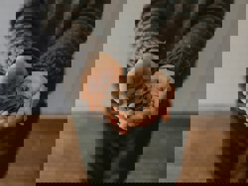 coin and hands