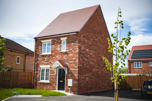 new build house and trees