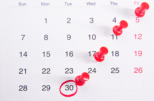 pinned calendar erc